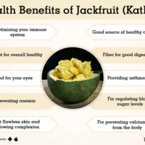 Health Benefits of Jackfruit Kathal