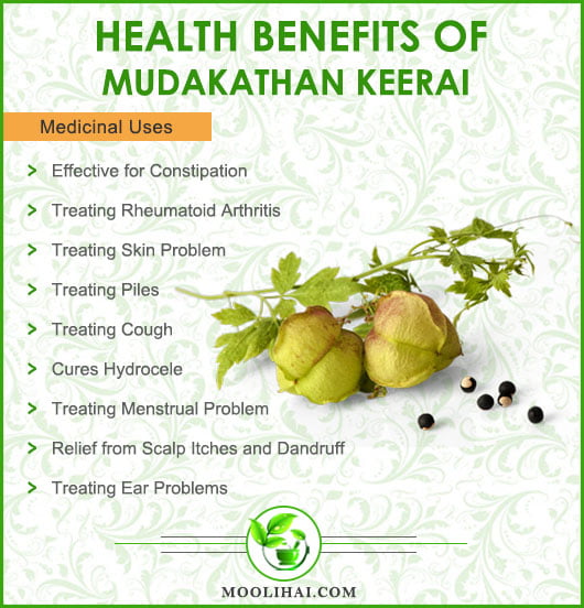 Health Benefits of Mudakathan Keerai