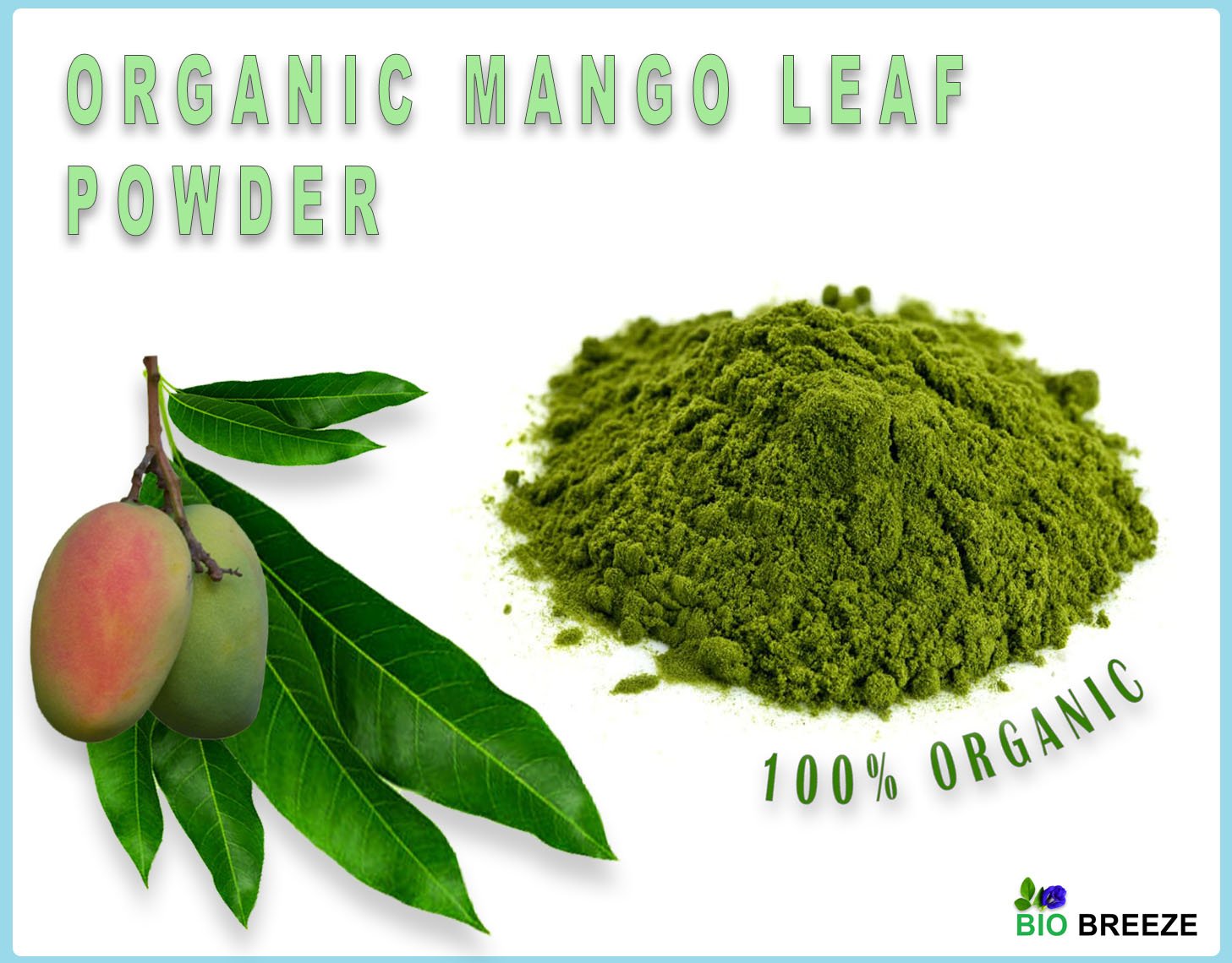 Organic Mango Leaf Powder