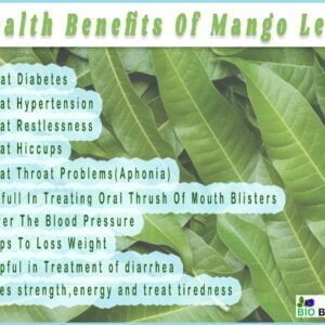 health benifit of mango leaf powdr