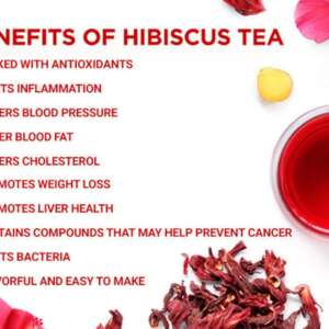 hibiscus thumb1674110616