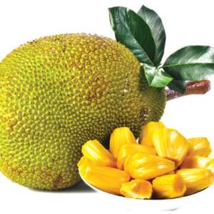 jackfruit 1