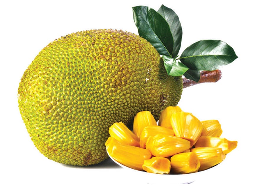 jackfruit 1
